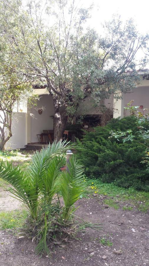 La Terrazza Sul Parco Apartment Oristano Exterior foto